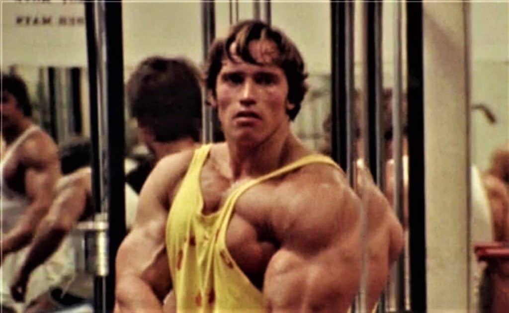 Arnold flexing chest in mirror