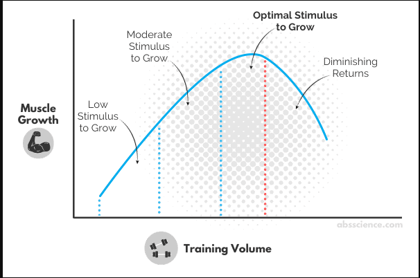 Graph depicting workout volume and muscle growth