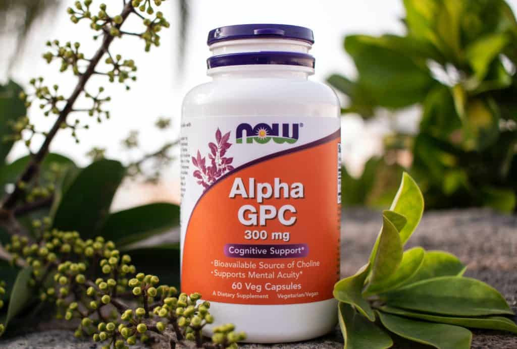 Alpha-GPC in pre workout