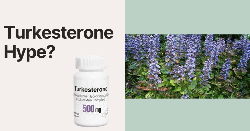 Turkesterone hype vs. reality